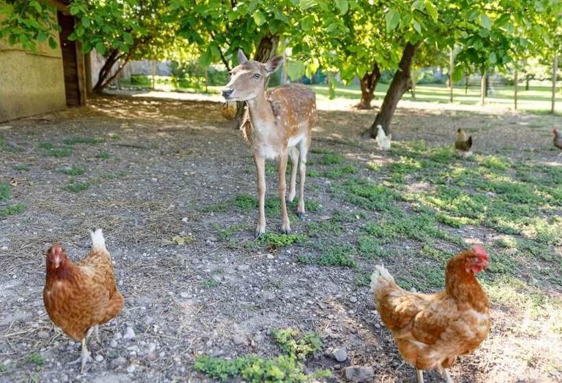 민박 Villa Padovani Relais De Charme   Adults Only