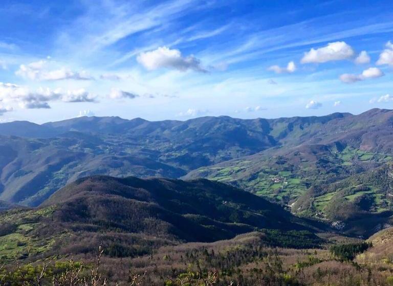 호텔 Albergo Ristorante Letizia