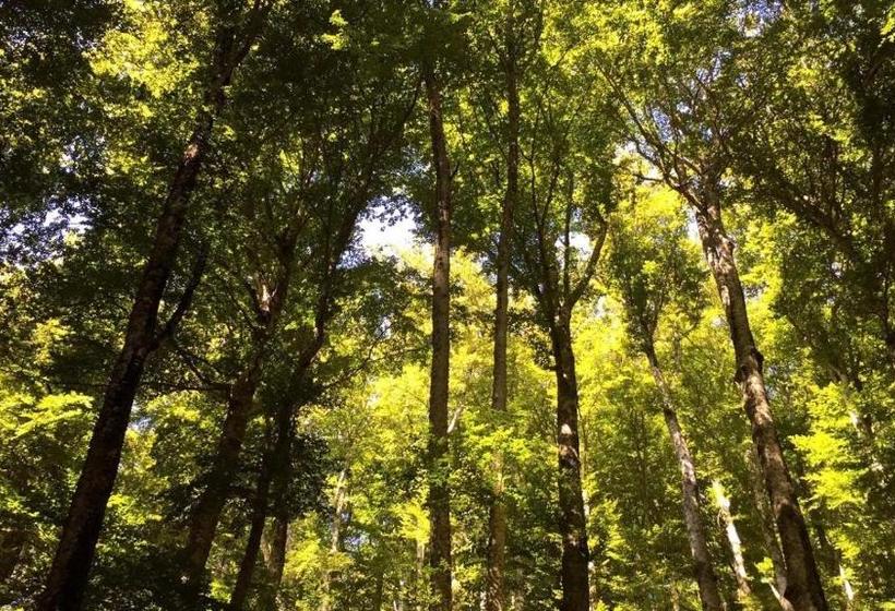 호텔 Albergo Ristorante Letizia