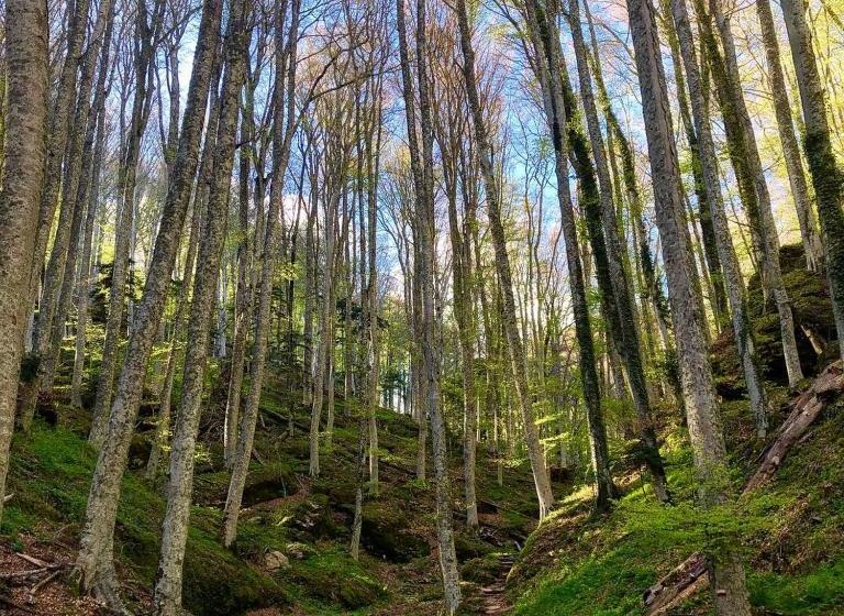 호텔 Albergo Ristorante Letizia