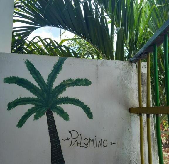 膳宿费 Hostal Luz De Luna