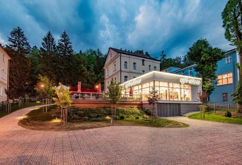 بنسيون Penzion Vila Slavia