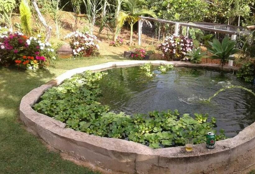 Пансион Pousada Efraim