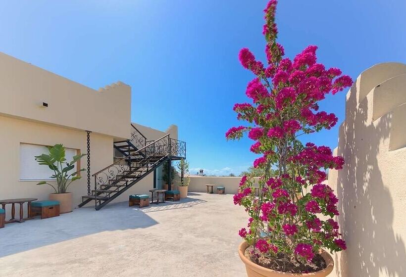 پانسیون Hostal Sahaba Zahora