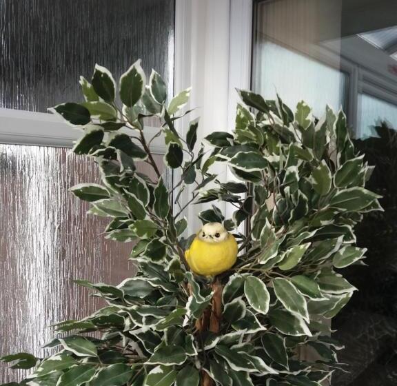 پانسیون Southernwind   Spareroom