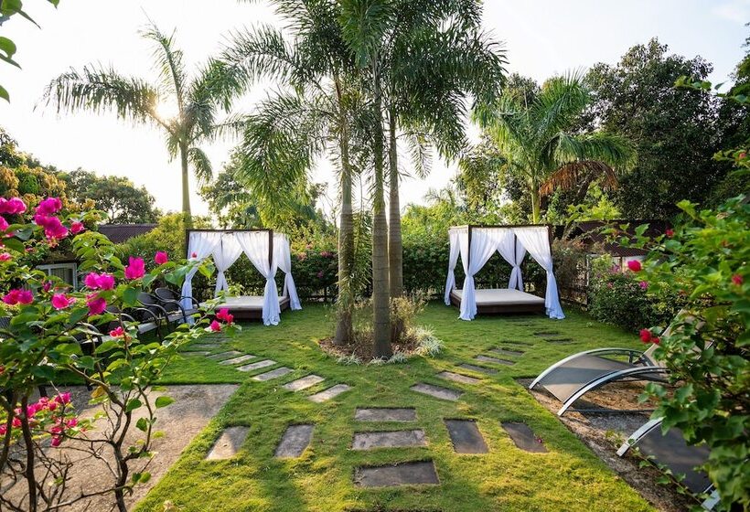 Stone Wood Resort, Mandrem