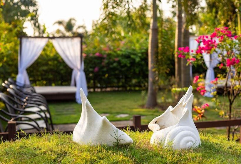 Stone Wood Resort, Mandrem