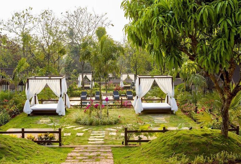 Stone Wood Resort, Mandrem