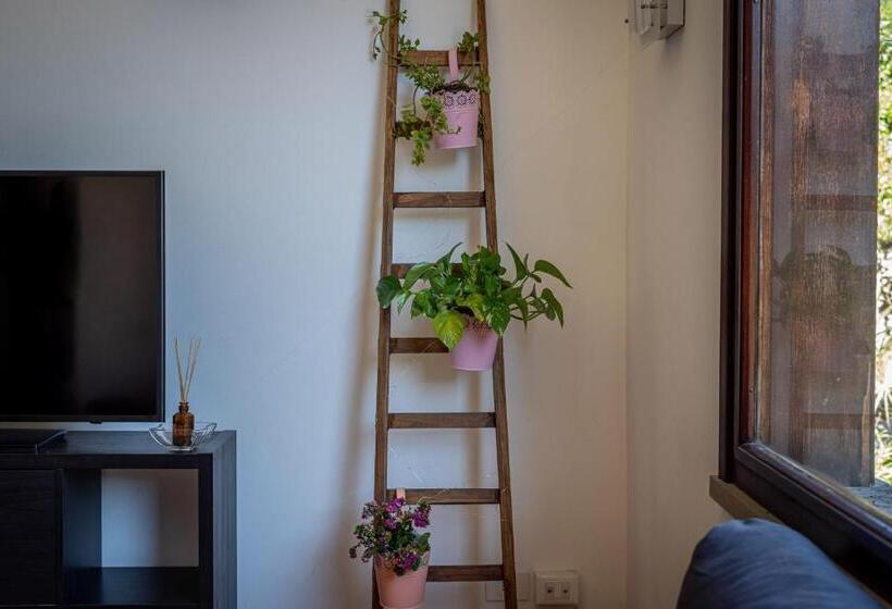 צימר Bouganville Home Mondello