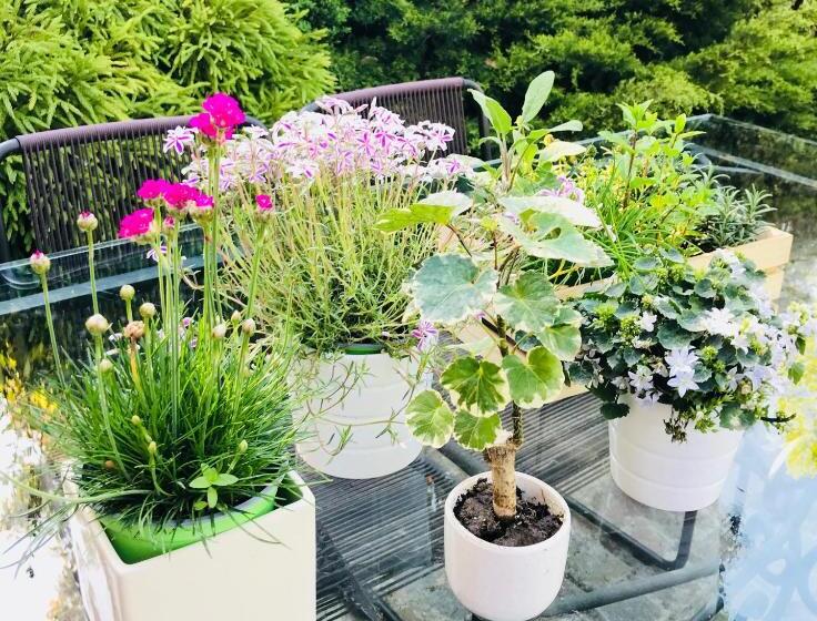 민박 Podere Boschetto R&b