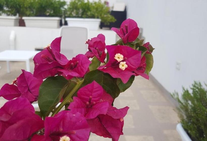 住宿加早餐  Torres Suite