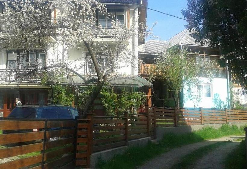 فندق Casa Poienar