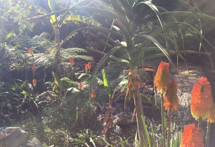 Пансион A Riverbed Guesthouse