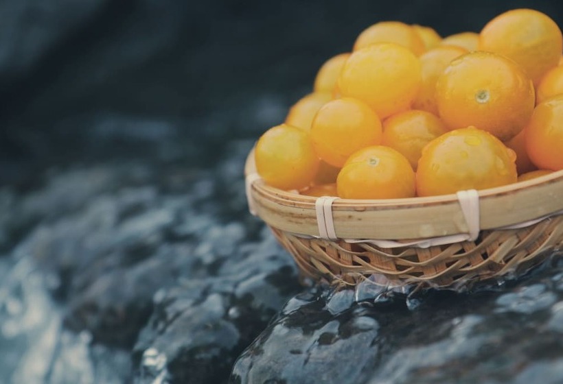 펜션 Bloom Over The Sea By Jinspecial