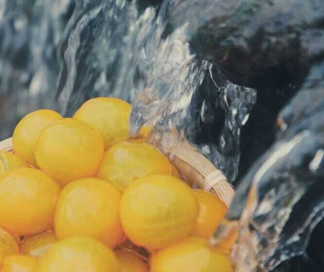 펜션 Bloom Over The Sea By Jinspecial