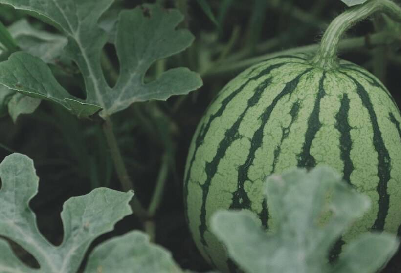 펜션 Bloom Over The Sea By Jinspecial