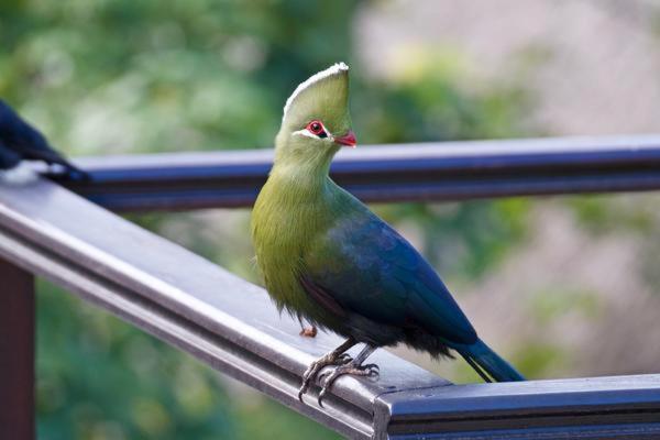 پانسیون Normarie's Guesthouse