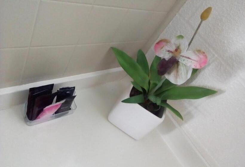 פנסיון Redwood Lodge Motel