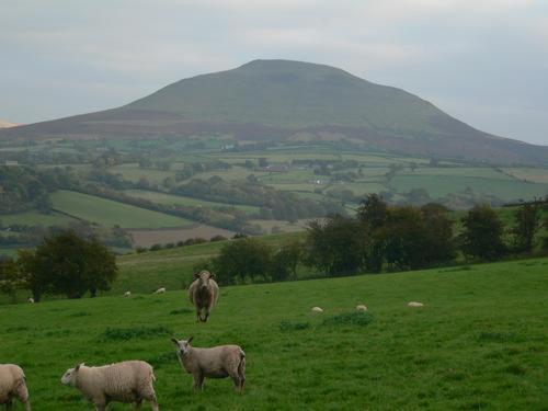 The Draen Bed And Breakfast