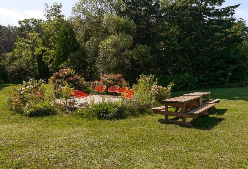 فندق صغير Auberge Pique Nique