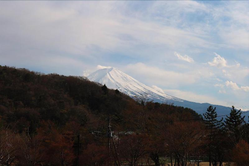 Hostel Samurise North