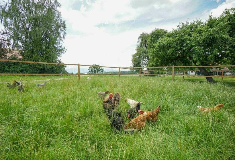 בית מלון כפרי Keilhof