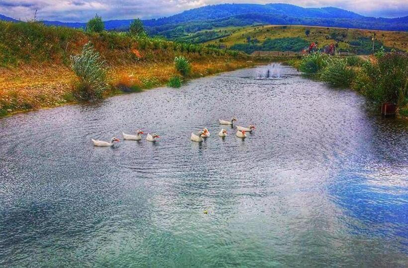 هتل Pastravaria Ursu