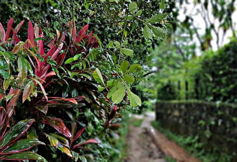 پانسیون Akainoie