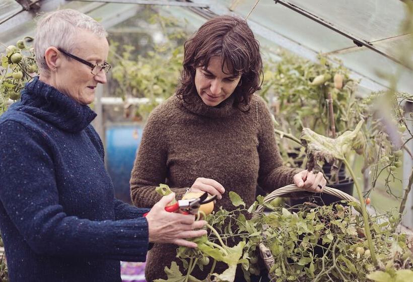 بنسيون Bank Ground Farm