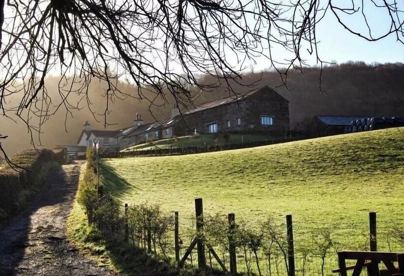 بنسيون Bank Ground Farm