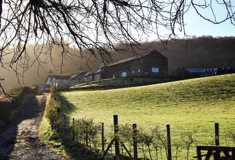 بنسيون Bank Ground Farm