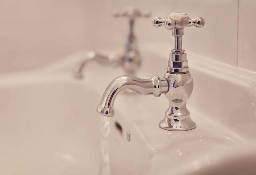 פנסיון Bank Ground Farm