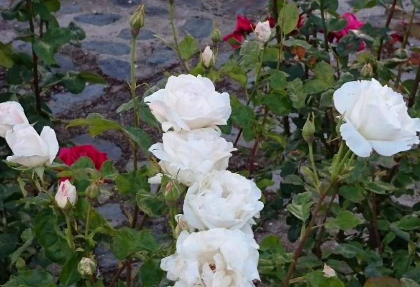 پانسیون La Casona De Tamaya