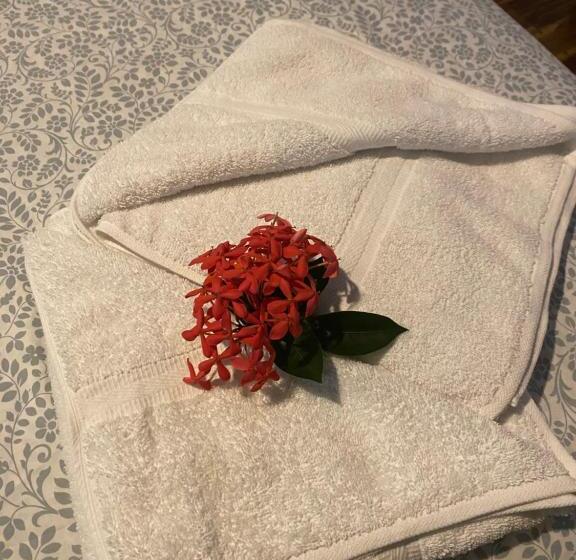 بنسيون Mauras Tropical Mini Hostel & Tours