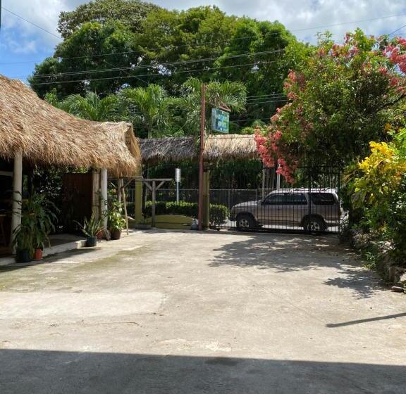 بنسيون Mauras Tropical Mini Hostel & Tours