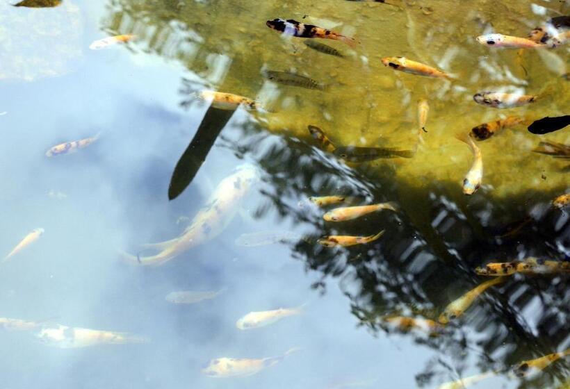 펜션 Pousada Casa Da Gente