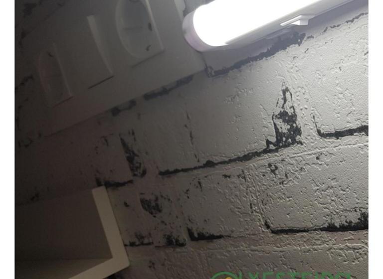 هاستل A Xesteira