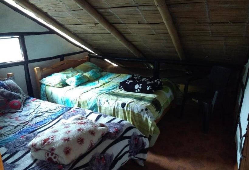 ユースホステル Casa Annunakis