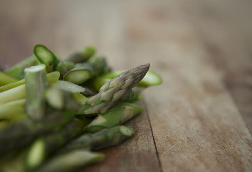 360 Hotel & Thermal Baths