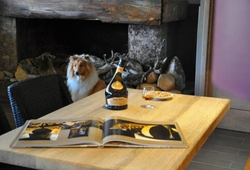 Отель Hôtel Castel De Vergio