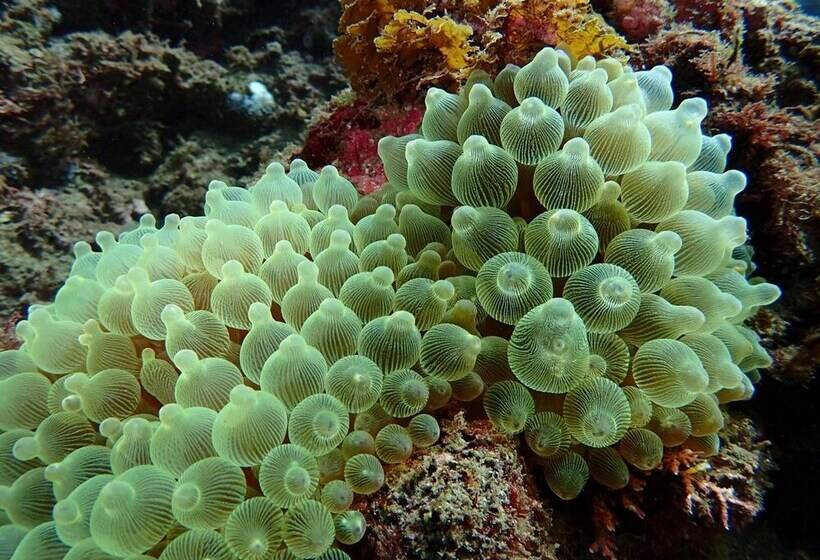 ペンション Guesthouse Sora