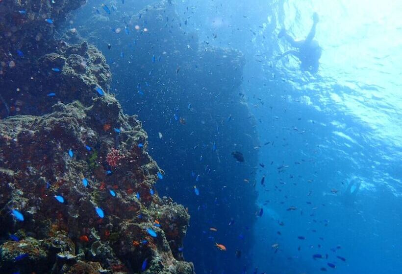 ペンション Guesthouse Sora