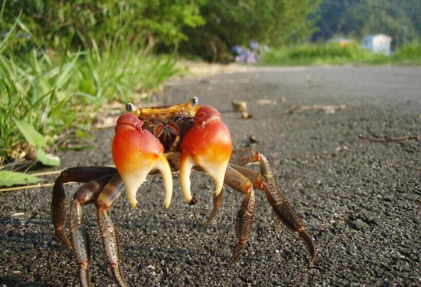 ペンション Guesthouse Sora