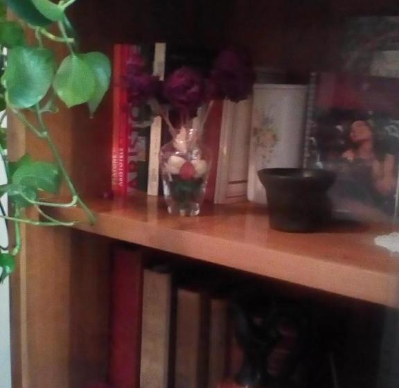 פנסיון Mar & Fantasy