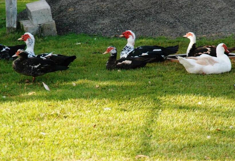 Общежитие Repouso Do Tchê