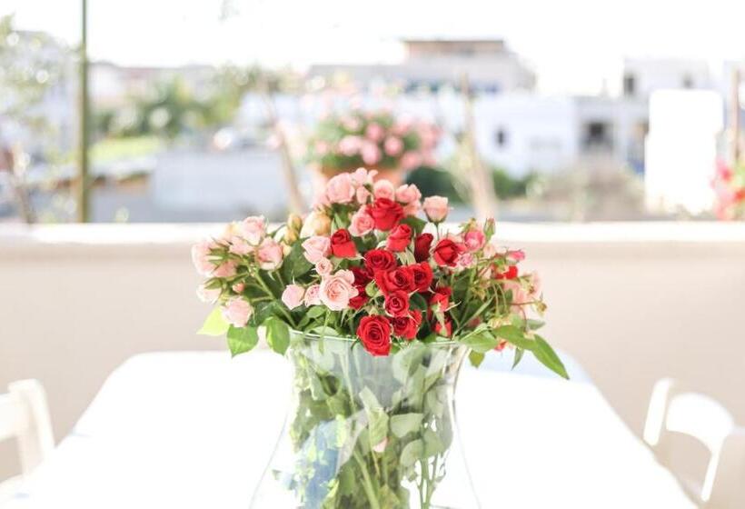 민박 Blue And Blue City