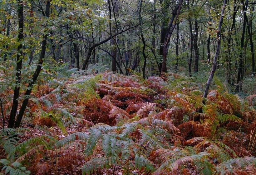 فندق Agriturismo Cascina Bullona