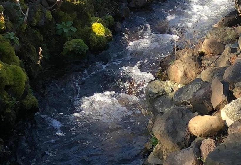 فندق على الطريق The Waterfront At Potlatch