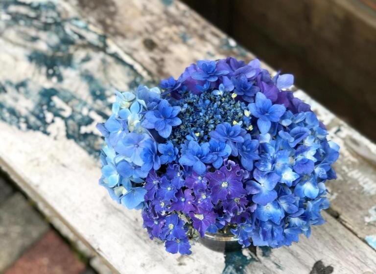 بنسيون Casa Kamakura Espresso&bed