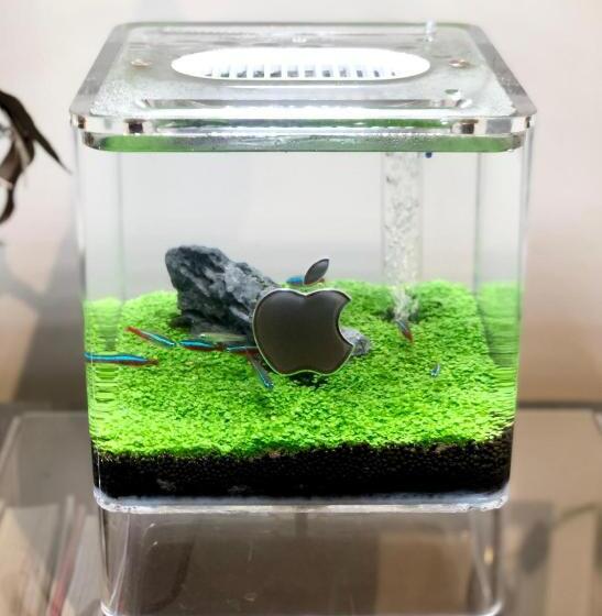 بنسيون Casa Kamakura Espresso&bed